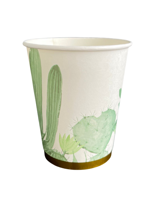 Vasos Cactus Garden